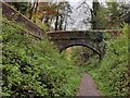 SJ6703 : Shropshire Way in the Ironbridge Gorge by Mat Fascione