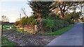 Gateway for track to Bankdale Farm from west side of road at The Shieling