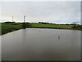 Pond and fields near Sheddon