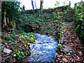 Steps down to stream from Copley Lane, Shelley