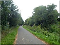 ST2788 : Shared-use track by Monmouthshire and Brecon Canal by David Smith