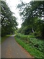 Shared use path by Monmouthshire and Brecon Canal