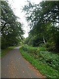 ST2689 : Shared use path by Monmouthshire and Brecon Canal by David Smith