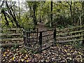 SJ6603 : Gate along the Shropshire Way in Benthall Edge Wood by Mat Fascione