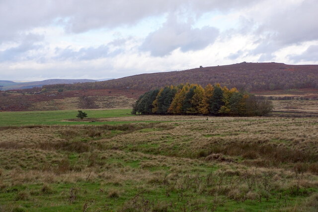 View from Longshaw Lodge