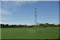 Pylon in field