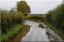 H4868 : Water lying along Camowen Road by Kenneth  Allen