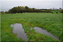 H4968 : Water lying in a field, Camowen by Kenneth  Allen