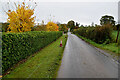 Colourful along Crevenagh Road