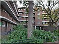 Flats on Stoke Newington Road 