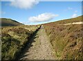 NY2830 : The Cumbria Way near Dead Beck by Adrian Taylor