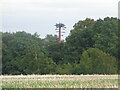 Communication mast hiding in the trees