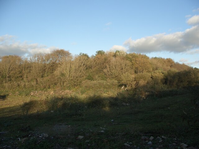 Late autumn woodland in Cornelly quarry country