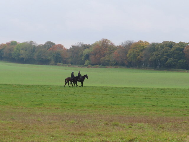 Riders from Woodway Farm, Ridgeway beyond