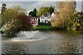 Lindfield Pond