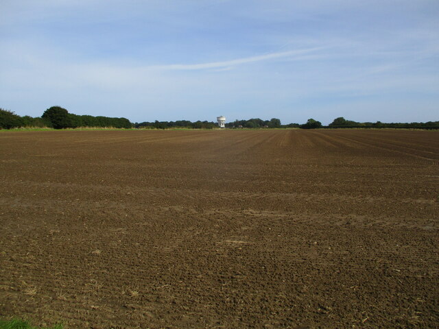 Newly sown winter cornfield with ... © Martin Dawes cc-by-sa/2.0 ...