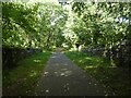 NCN492 on old railway line