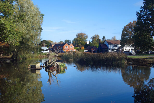 Village Pond, Hanley Swan