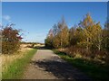 SK6243 : Path in Gedling Country Park by Graham Hogg