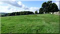 Milecastle 51 at Wall Bowers, Hadrian