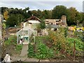 At least the greenhouse is still intact