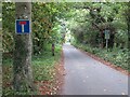 SE3357 : Beryl Burton Cycleway, near Knaresborough by Malc McDonald