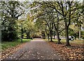 Path along the edge of Victoria Park