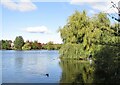 Cardiff - Roath Park Lake