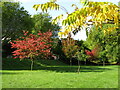 Cardiff - Roath Recreational Park