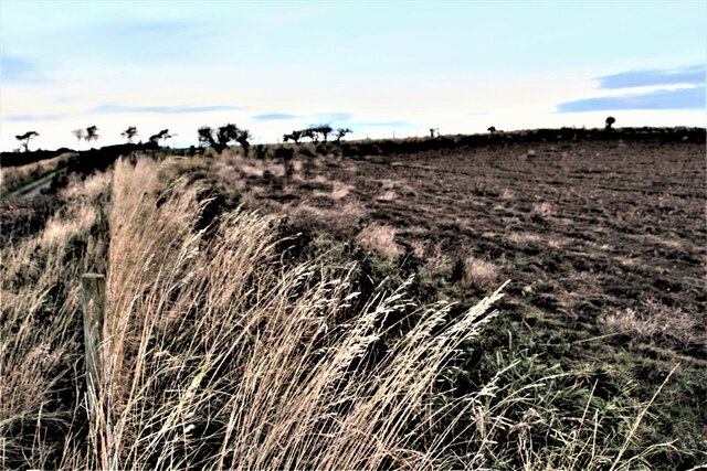 Ploughed field north of Coldingham