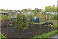 SK7053 : Southwell allotments by Alan Murray-Rust