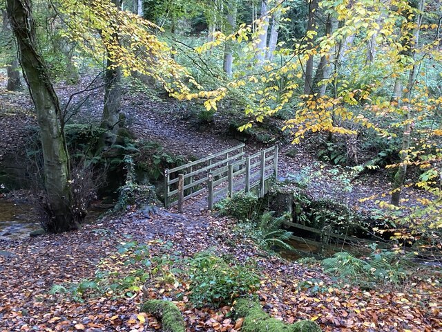 Woodland footbridge