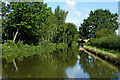 SK1707 : Birmingham and Fazeley Canal near Whittington in Staffordshire by Roger  Kidd