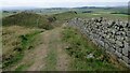 NY7267 : Hadrian's Wall by Sandy Gerrard