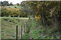 Path south of Godshill