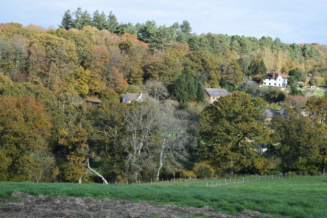 View towards Godshill Wood