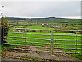 S3663 : Gate and Fields by kevin higgins