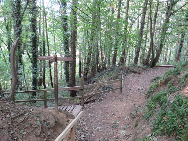 Paths meet in the Nidd Gorge, near Harrogate