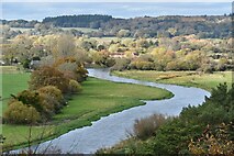 SU1616 : River Avon from Castle Hill by David Martin