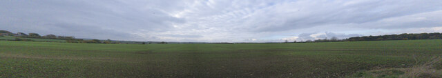 Field between Braceby and Stibbington