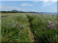 NO3901 : Fife Coastal Path at Largo Bay by Mat Fascione