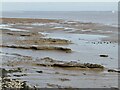 ST4183 : Redwick - Mudflats by Colin Smith