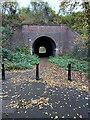 Another railway accommodation bridge