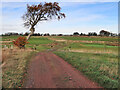 Track in Broadlees Golf, Chapelton