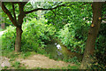 Gatwick Stream, Riverside Garden Park, Horley