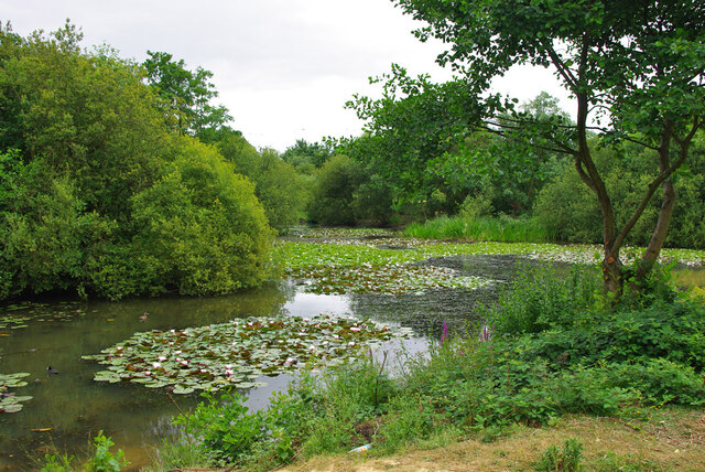 Gatwick Lake, Riverside Garden Park,... © Robin Webster cc-by-sa/2.0 ...