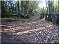 Llwybr ger Coed y Bwl / Path near Coed y Bwl