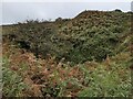 The tumulus on Tregonning Hill