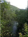 Sirhowy River from Penllywn Tramway Bridge