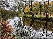 H4772 : Reflections, River Camowen by Kenneth  Allen